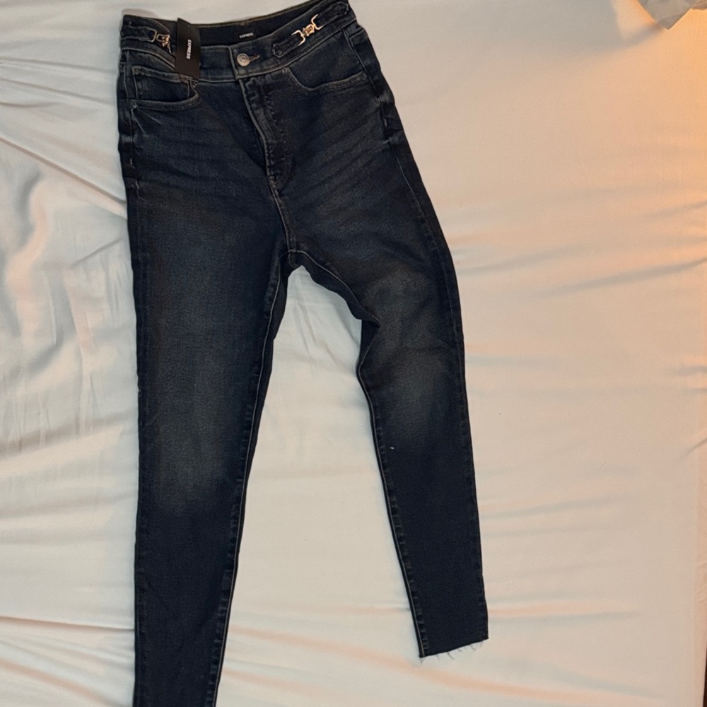 Express Dark Wash Skinny Jeans